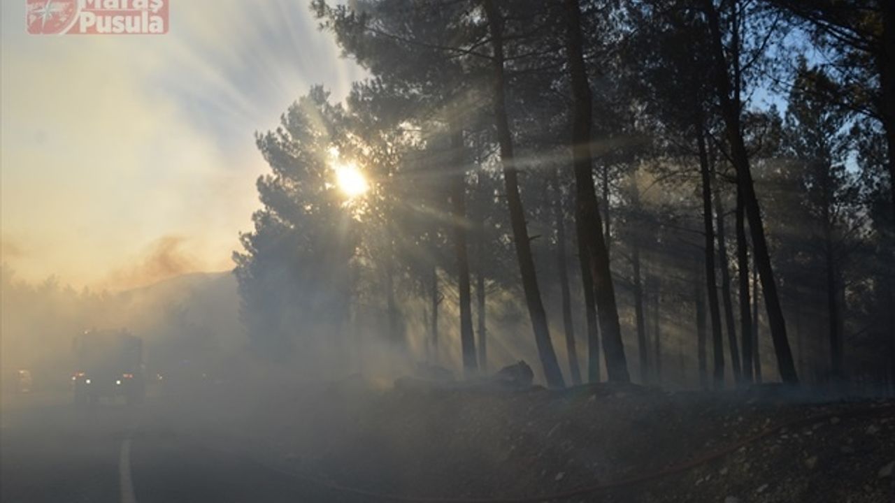Yedikuyular Kayak Merkezi Mevkiinde Orman Yangını
