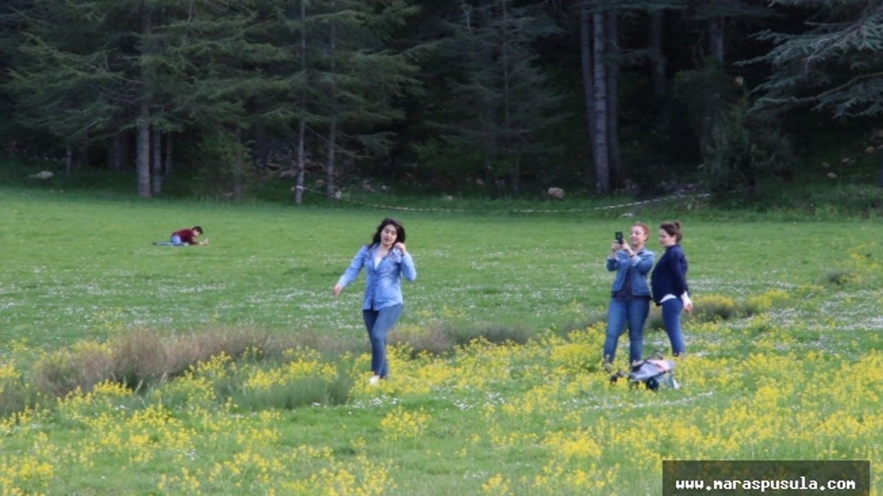 Doğa harikası Başkonuş Yaylası, doğaseverlerin uğrak yeri oldu