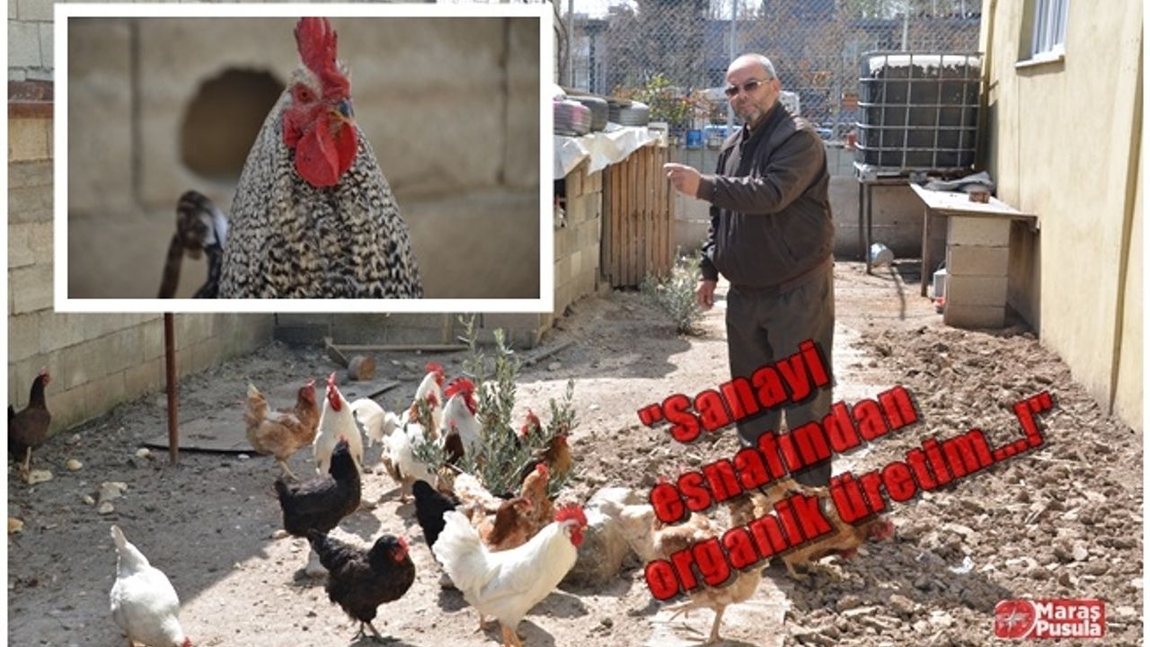 Kahramanmaraş'ta sanayi esnafından organik üretim