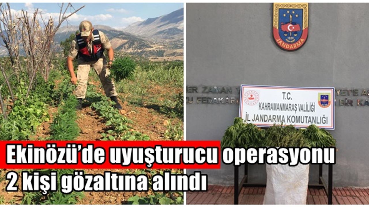 Ekinözü’de uyuşturucu operasyonu 2 kişi gözaltına alındı