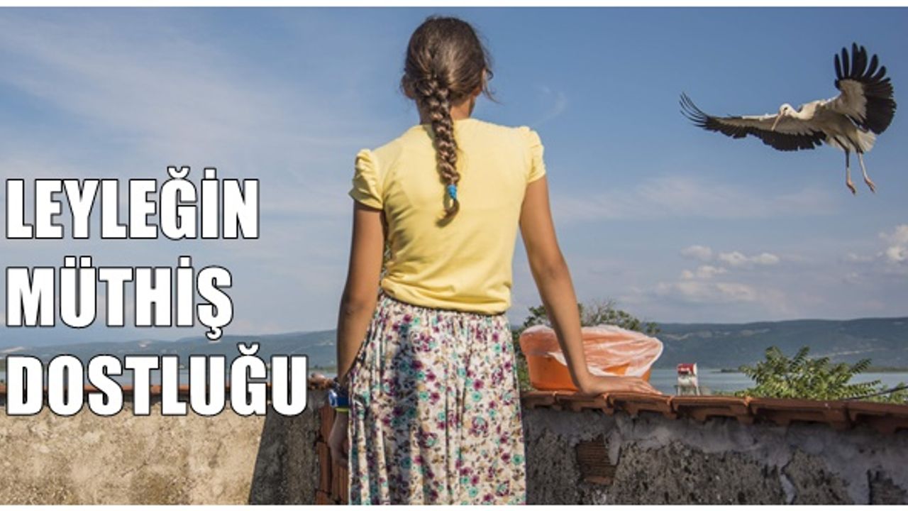 Beyzanur'la 6 leyleğin müthiş dostluğu