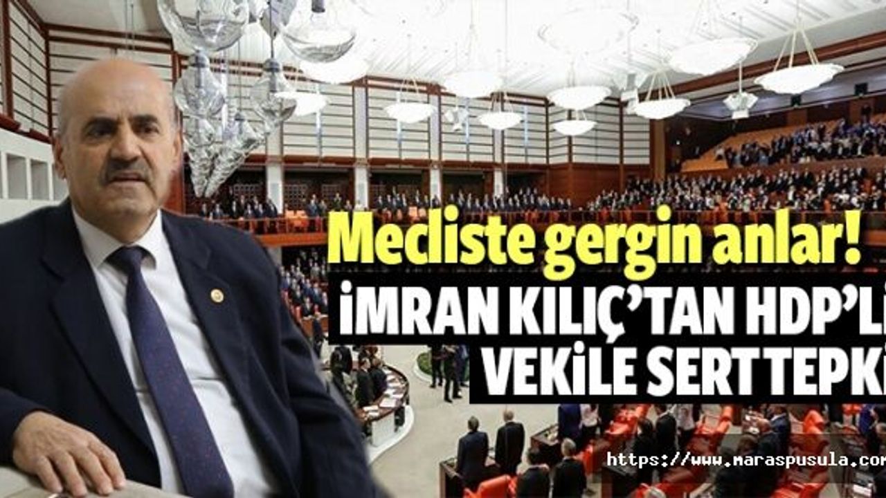 İmran Kılıç’tan HDP’li vekile sert tepki
