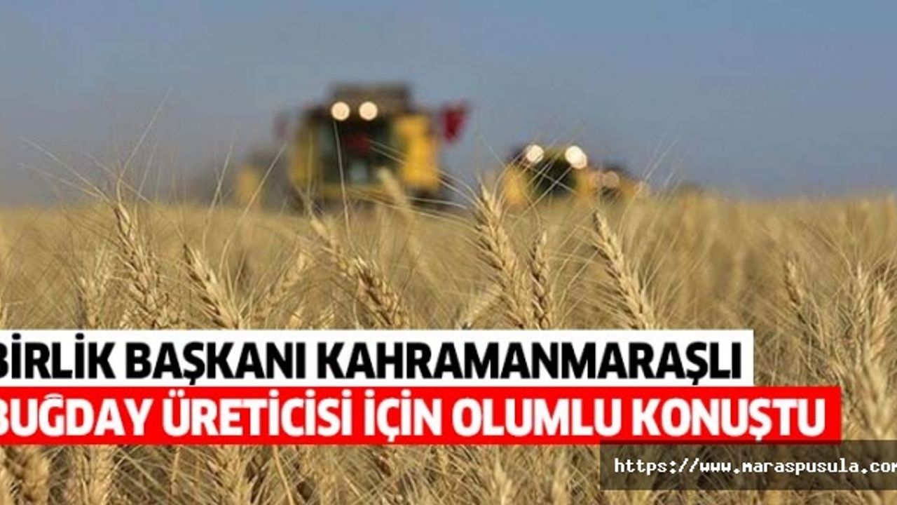 Birlik başkanı Kahramanmaraşlı buğday üreticisi için olumlu konuştu