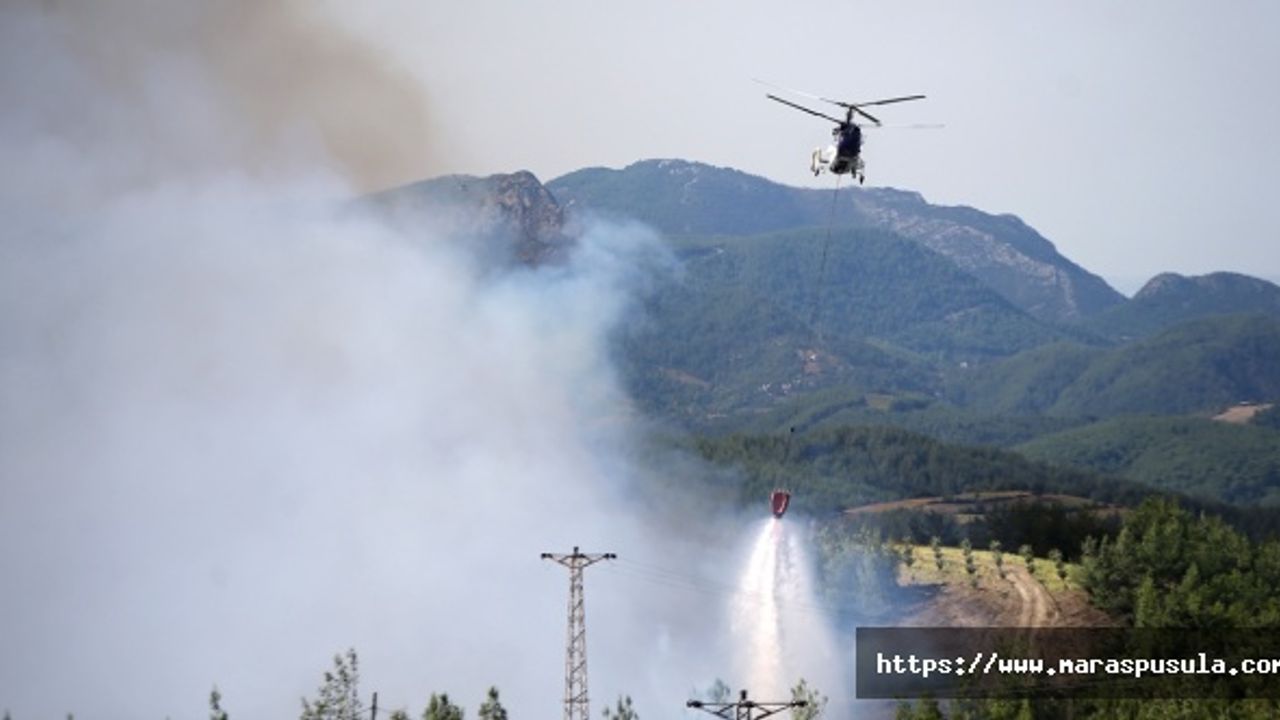 Adana'da ormanlar yanıyor