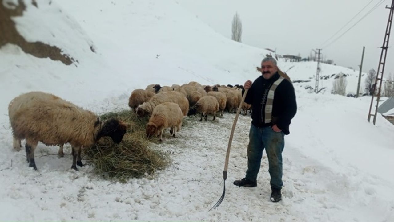 Kahramanmaraş'ta kar yağışı besicileri olumsuz etkiledi!