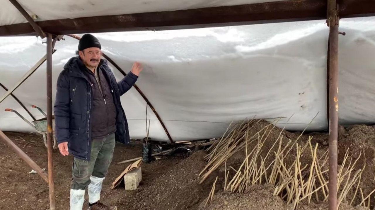 Kahramanmaraş'ta karın ağırlığına dayanamayan seralar çöktü!