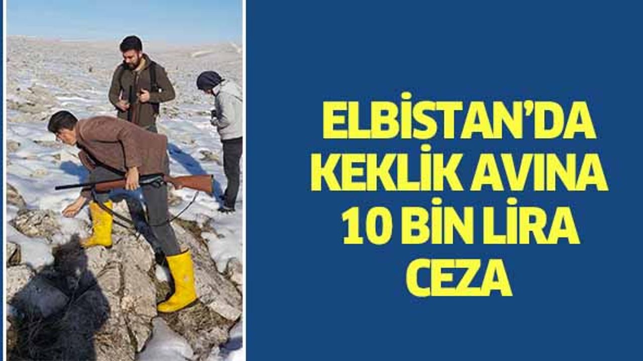 Elbistan’da keklik avına 10 bin lira ceza