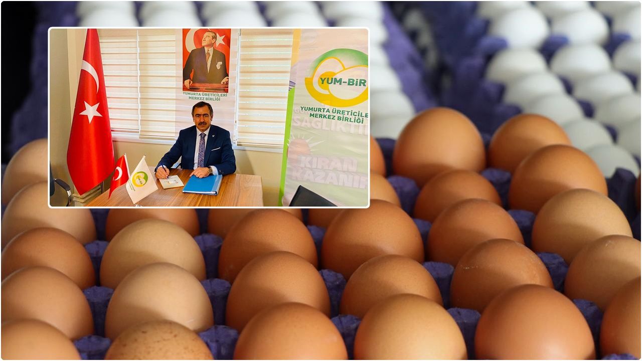 Yumurta Üreticileri Merkez Birliği: Fiyat artışının sebebi biz değiliz