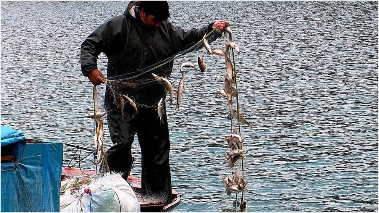 Kahramanmaraş'ta balıkçıların yaşam mücadelesi kartpostallık görüntüler oluşturdu
