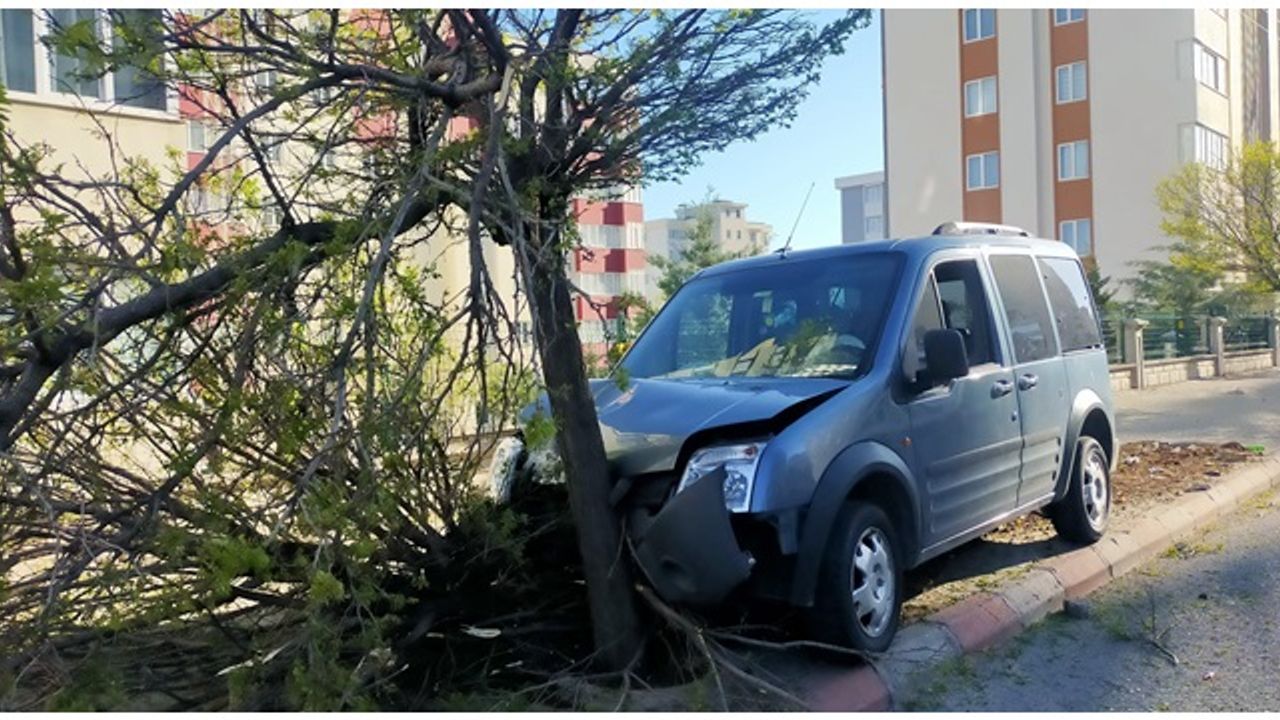 Kahramanmaraş'ta otomobilin çarptığı ağaç yerinden çıktı!