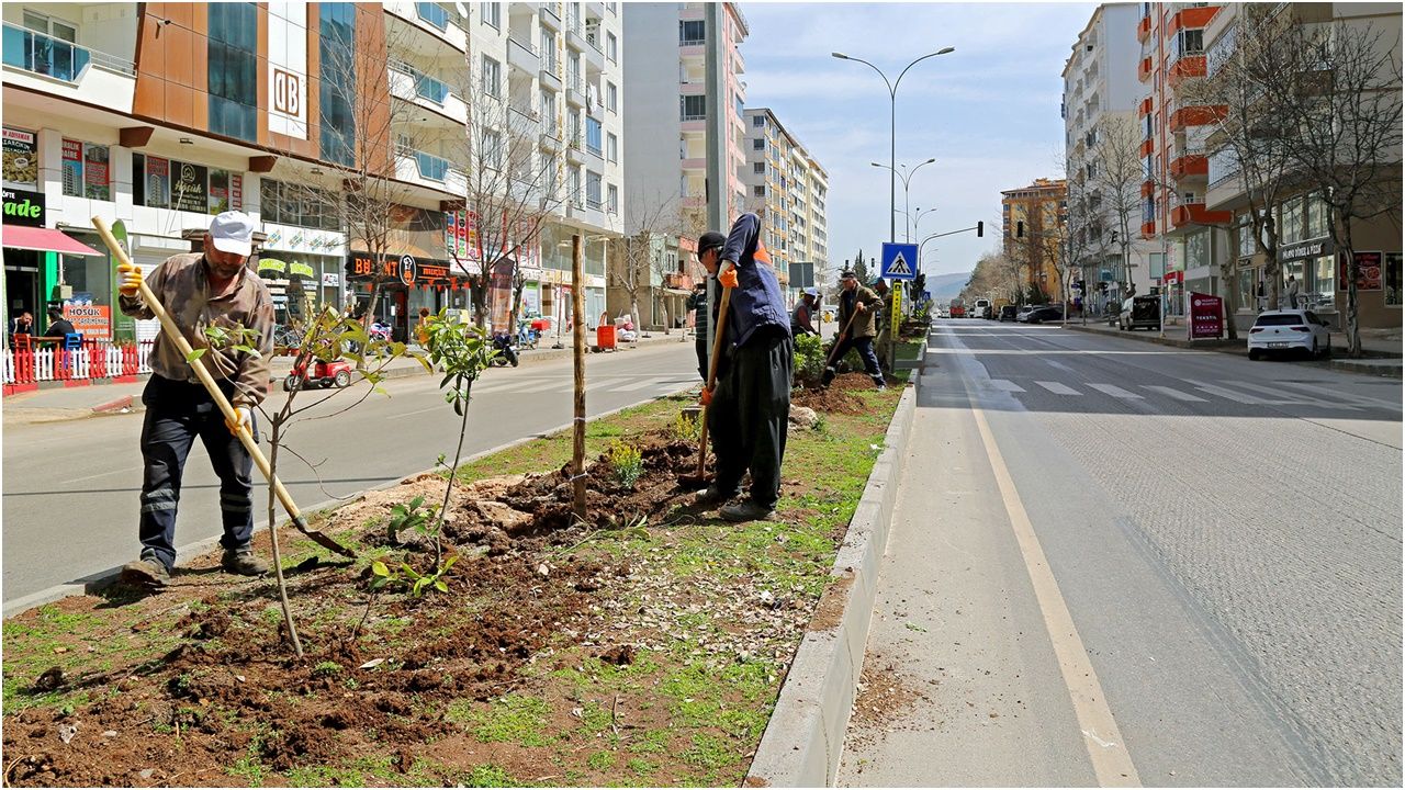 Cadde ve bulvarlar bitkilerle donatılıyor