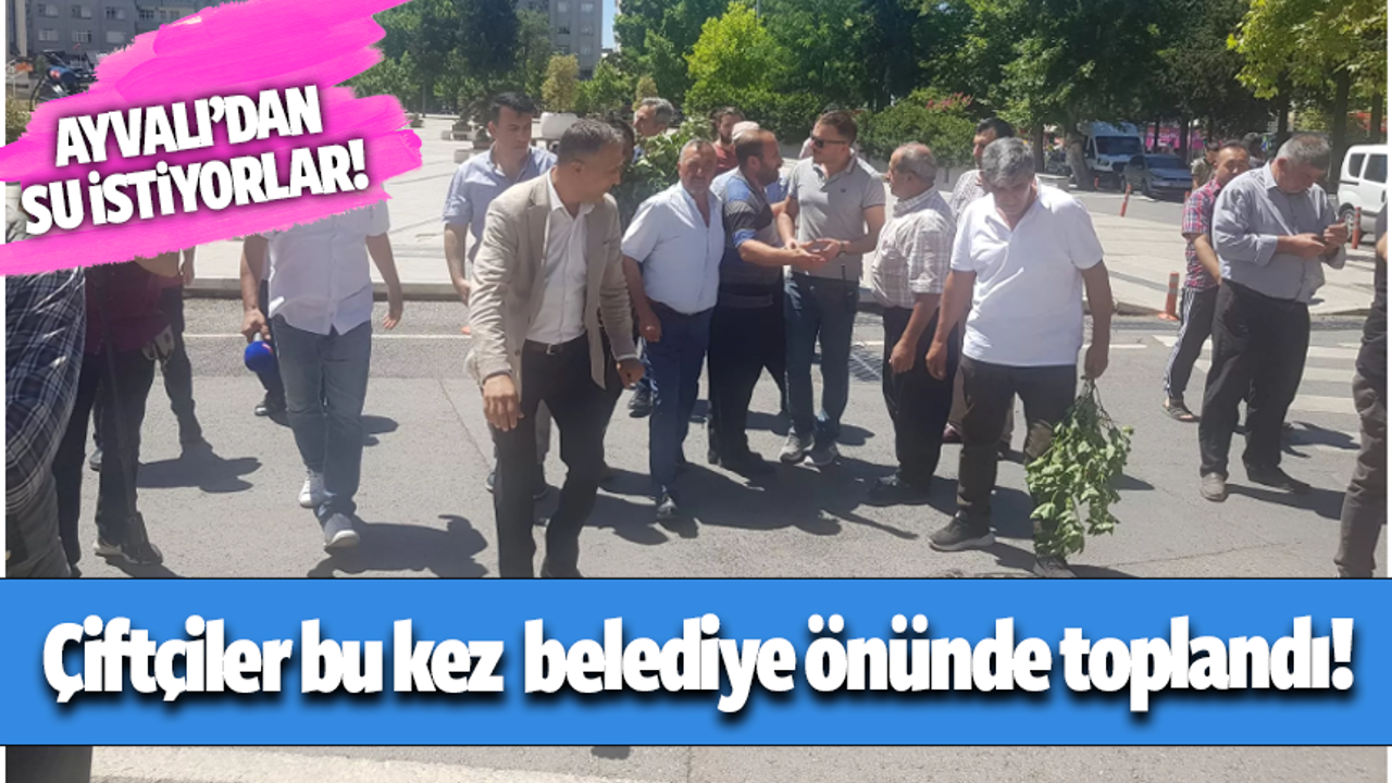 Kahramanmaraş'ta çiftçiler bu kez belediye önünde toplandı!