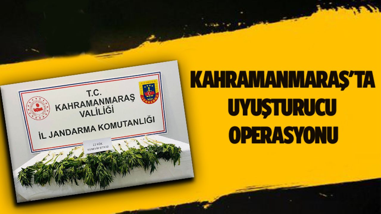 Kahramanmaraş'ta uyuşturucu operasyonu