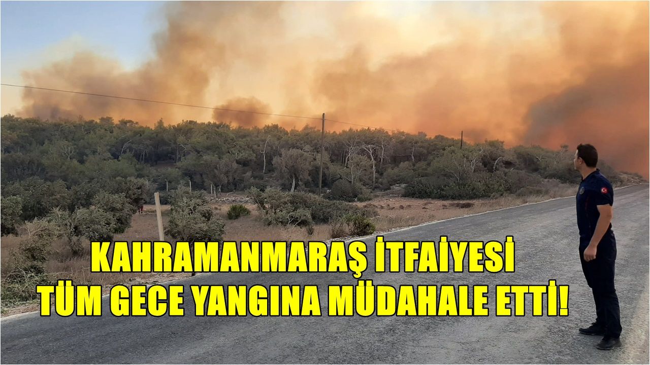 Mersin'deki yangına Kahramanmaraş itfaiyesi müdahale etti!