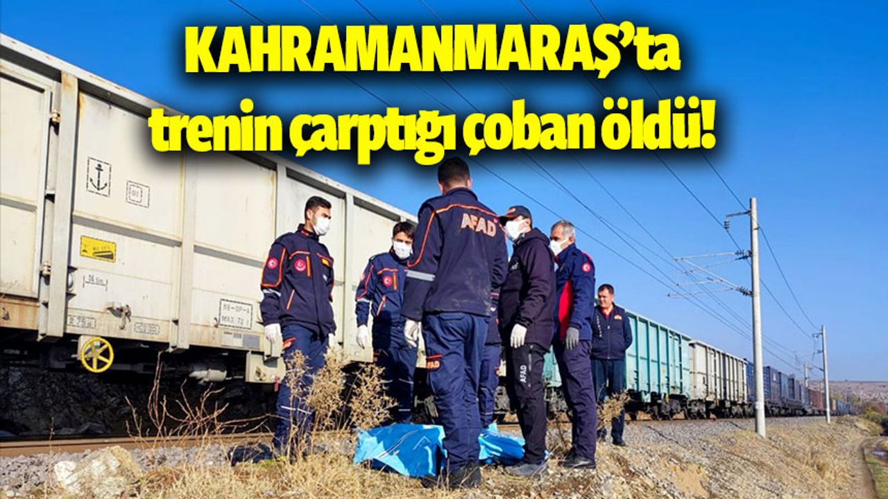 Kahramanmaraş'ta hemzemin geçitte trenin çarptığı çoban öldü