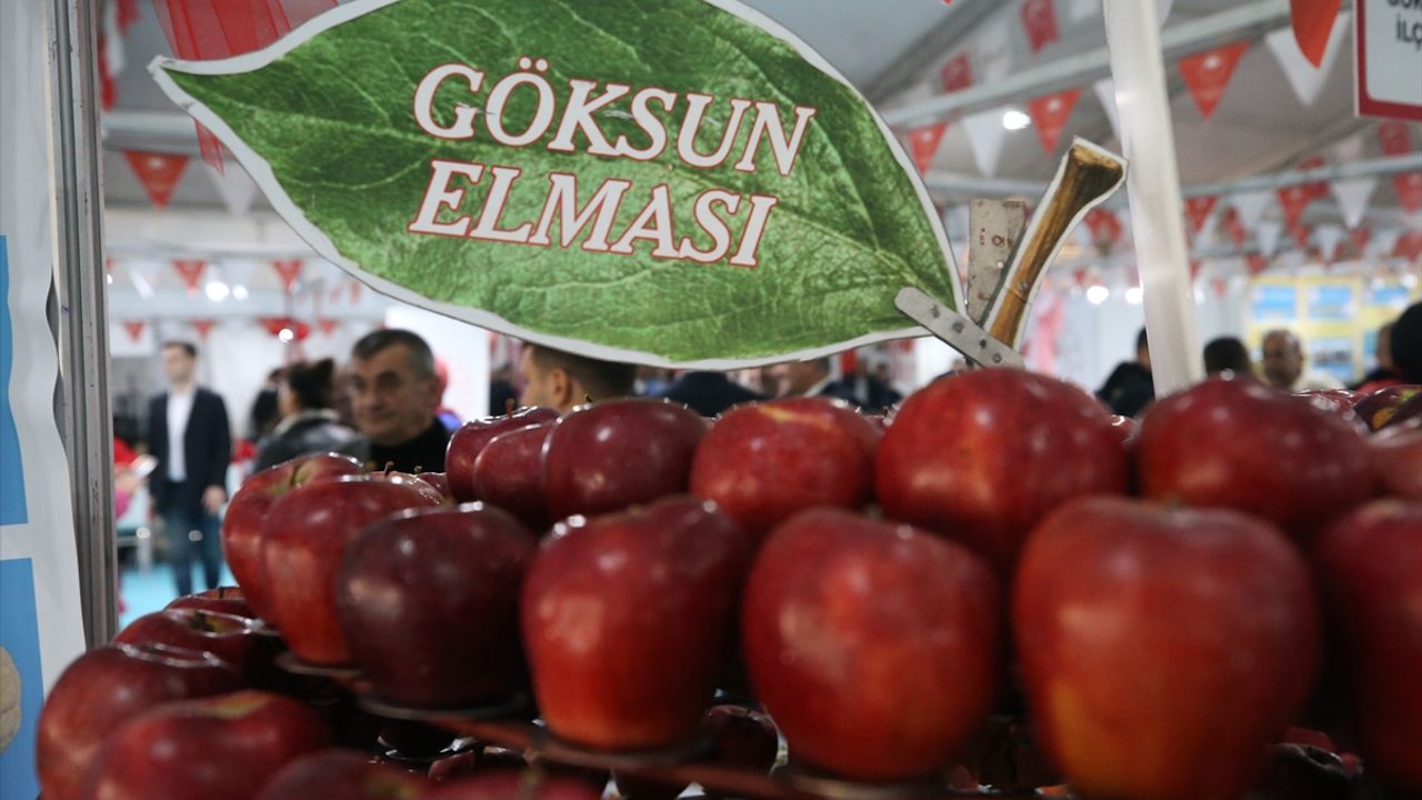 Kahramanmaraş'ta "8. Tarım, Gıda ve Hayvancılık Fuarı" sona erdi