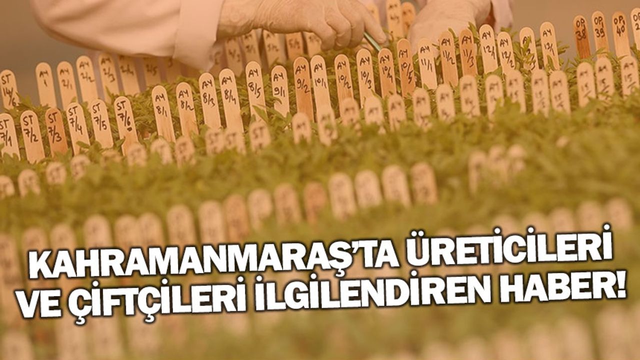 Kahramanmaraş'ta üreticilere tohumu desteği