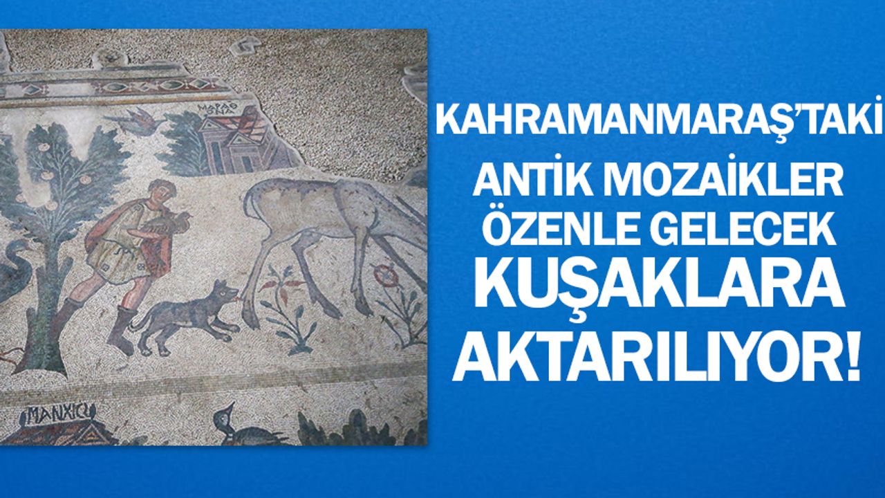 Kahramanmaraş’taki antik mozaikler özenle gelecek kuşaklara aktarılıyor!