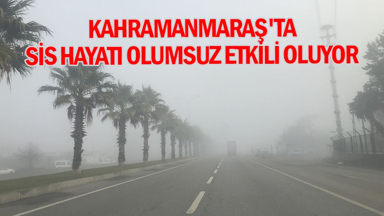Kahramanmaraş'ta sis hayatı olumsuz etkili oluyor