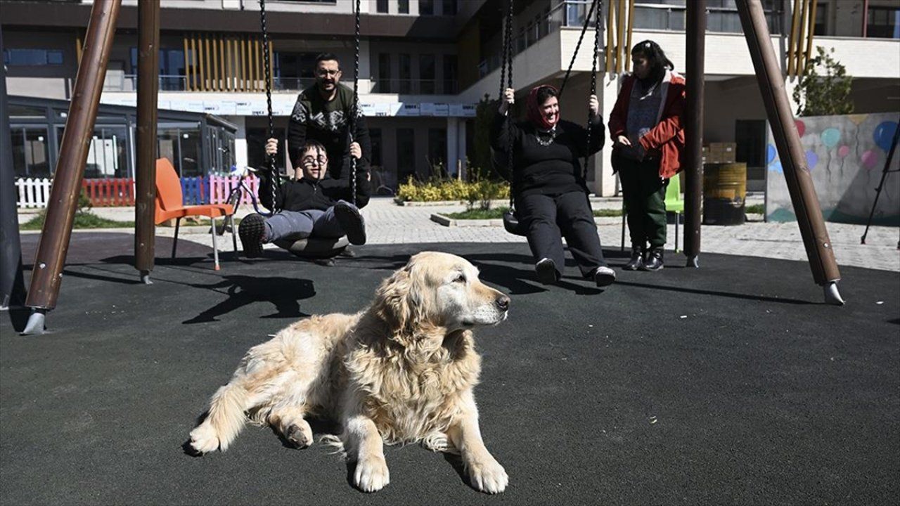 Özel çocuklar deprem travmasını özel eğitimli köpek "Max" ile atlatmaya çalışıyor!