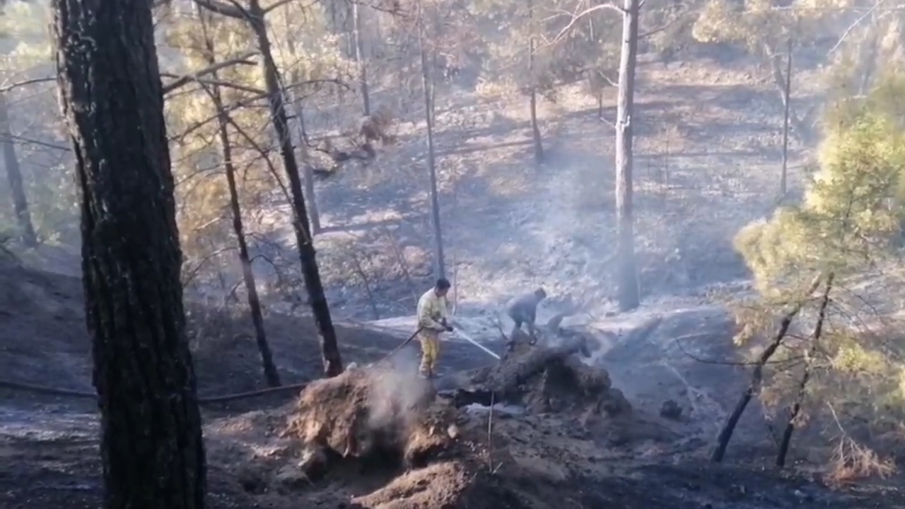 Kahramanmaraş'ta çıkan orman yangını kontrol altına alındı!