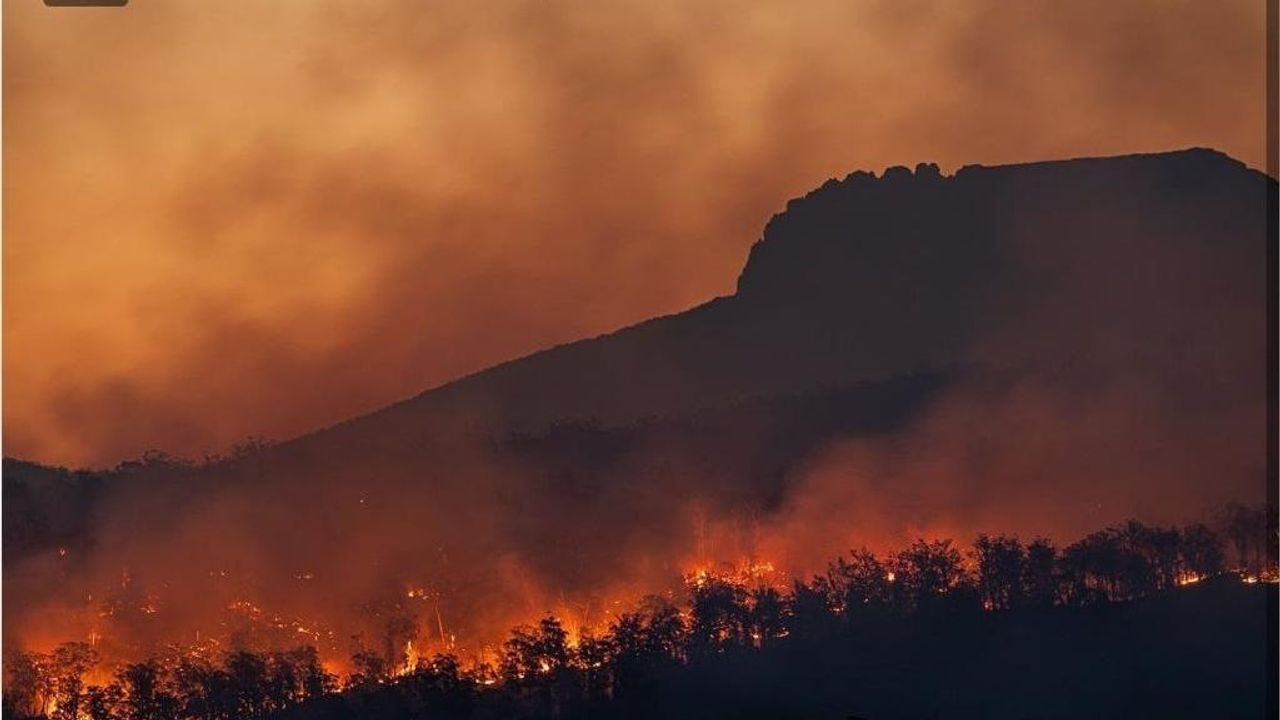 Orman yangınlarının yüzde 89’u insan kaynaklı