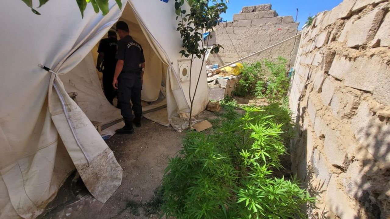 Afşin’de deprem çadırında uyuşturucu operasyonu 