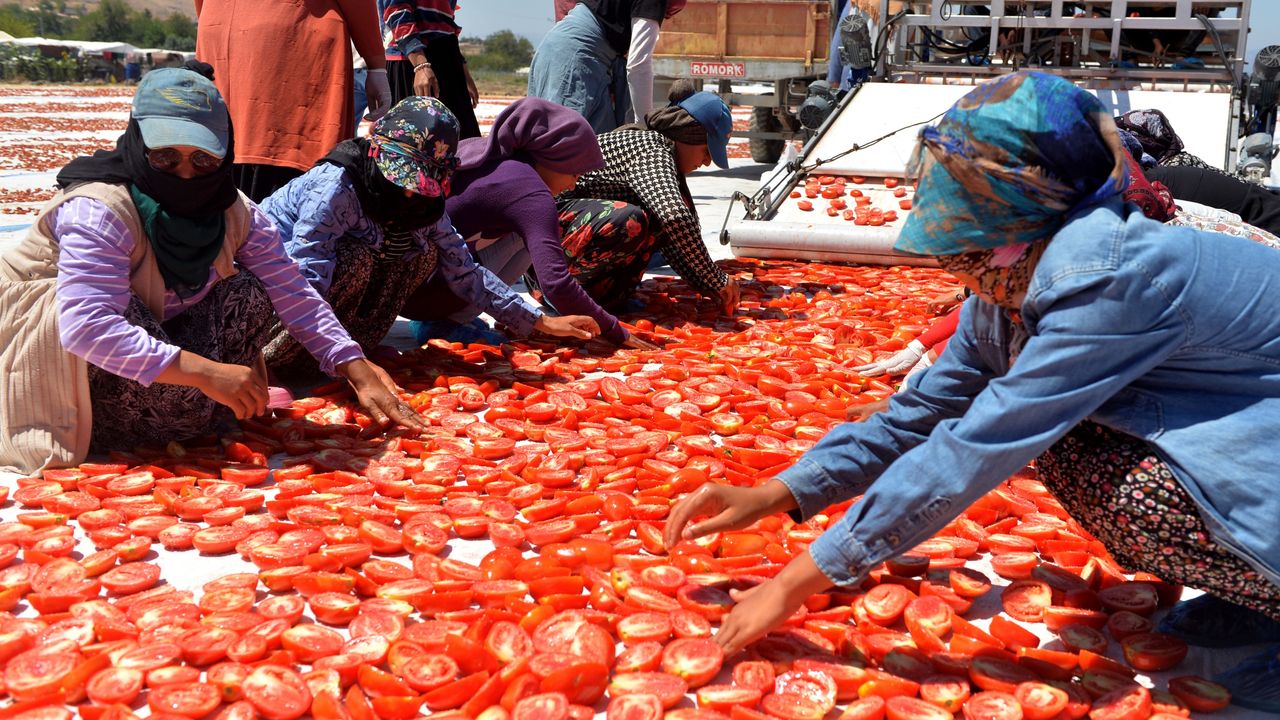 Kahramanmaraş'tan kurutulmuş domates ihracatı