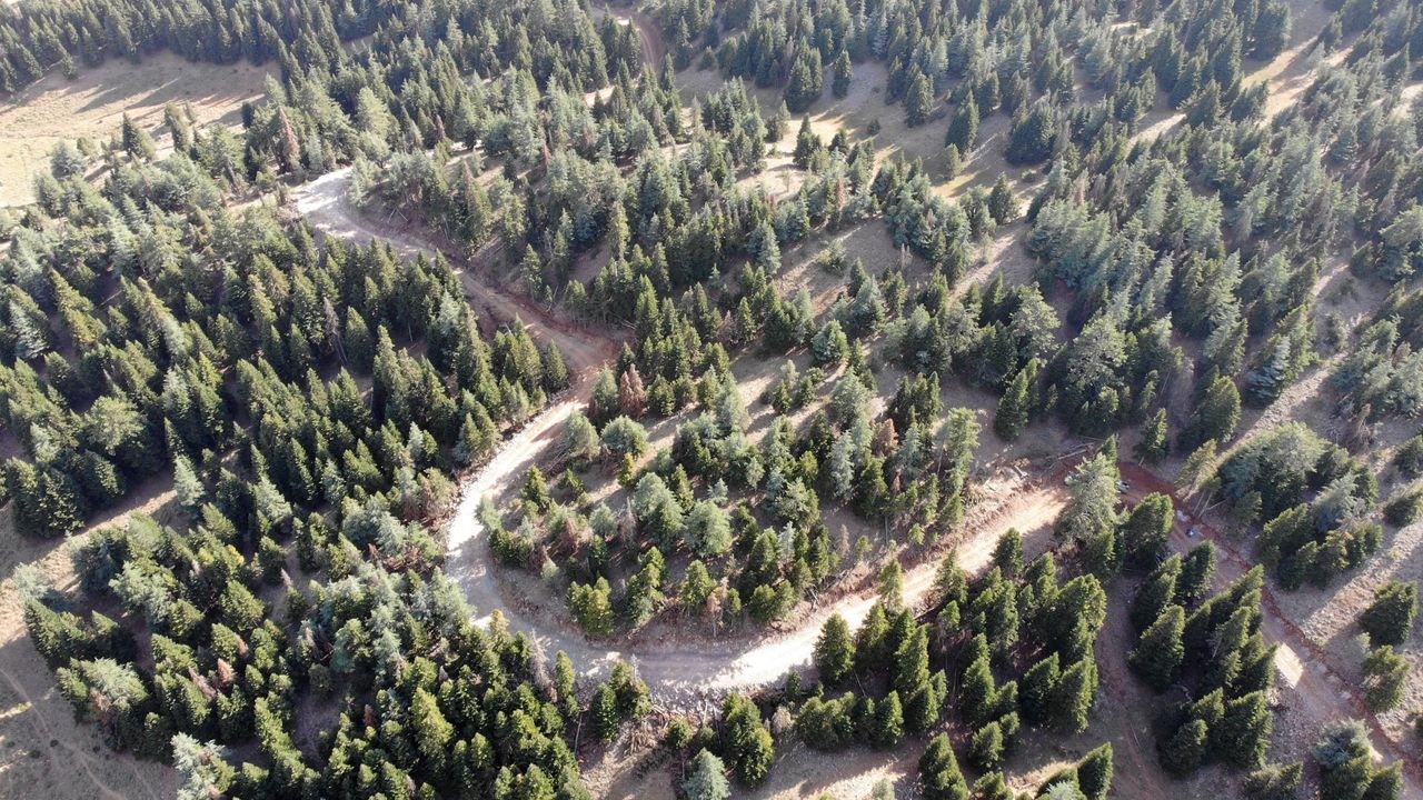 Göksun'da 36 kilometre yeni orman yolu yapıldı