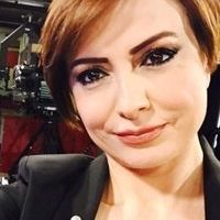 Didem Arslan Yılmaz kimdir ?