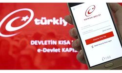 Büyük kolaylık! Artık e-Devlet'ten öğrenilebilecek
