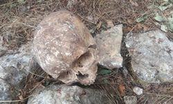 3 Kişiye Ait Kafatası Ve Kemik Bulundu