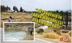 Büyükşehir’in Larva Mücadelesi Devam Ediyor!