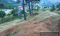 Kahramanmaraş'ta evinin bahçesinde oynayan çocuğu akrep soktu