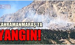Kahramanmaraş'ta yangın !