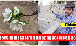 Elbistan'da mevsimini şaşıran kiraz ağacı çiçek açtı