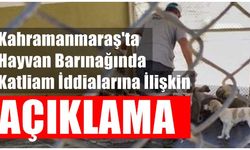 Kahramanmaraş'ta hayvan barınağında katliam iddialarına ilişkin açıklama