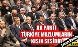 AK Partili Erkan Kandemir, Türkiye mazlumların kısık sesidir