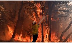 Avustralya Orman Yangını, Mega Yangınlar Gerçeğini Fark Etmemizi Sağlamalı!