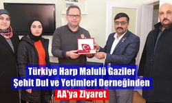Türkiye Harp Malulü Gaziler Şehit Dul ve Yetimleri Derneğinden AA'ya Ziyaret