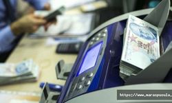 Hane başına 1000'er lira destek için başvurular e-Devlet üzerinden alınmaya başlandı