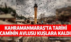 Kahramanmaraş'ta tarihi caminin avlusu kuşlara kaldı