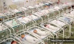 46 bebek, ülkede mahsur kaldı