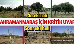 Başkan Dumlupınar, Orman Bölge Müdürlüğüne Çağrısını Yineledi, ‘Ağaçları katletmeyin’