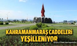 Kahramanmaraş caddeleri yeşilleniyor