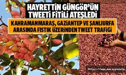 Kahramanmaraş, Gaziantep ve Şanlıurfa arasında fıstık üzerinden tweet trafiği