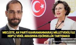 Mecliste, Ak Parti Kahramanmaraş Milletvekili ile HDP’li vekil arasında eşcinsellik tartışması