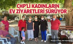 CHP'li kadınların ev ziyaretleri sürüyor