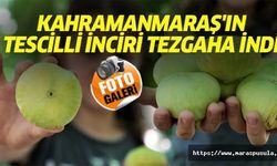 Kahramanmaraş'ın tescilli İnciri tezgaha indi