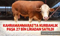Kahramanmaraş’ta kurbanlık paşa 27 bin liradan satıldı